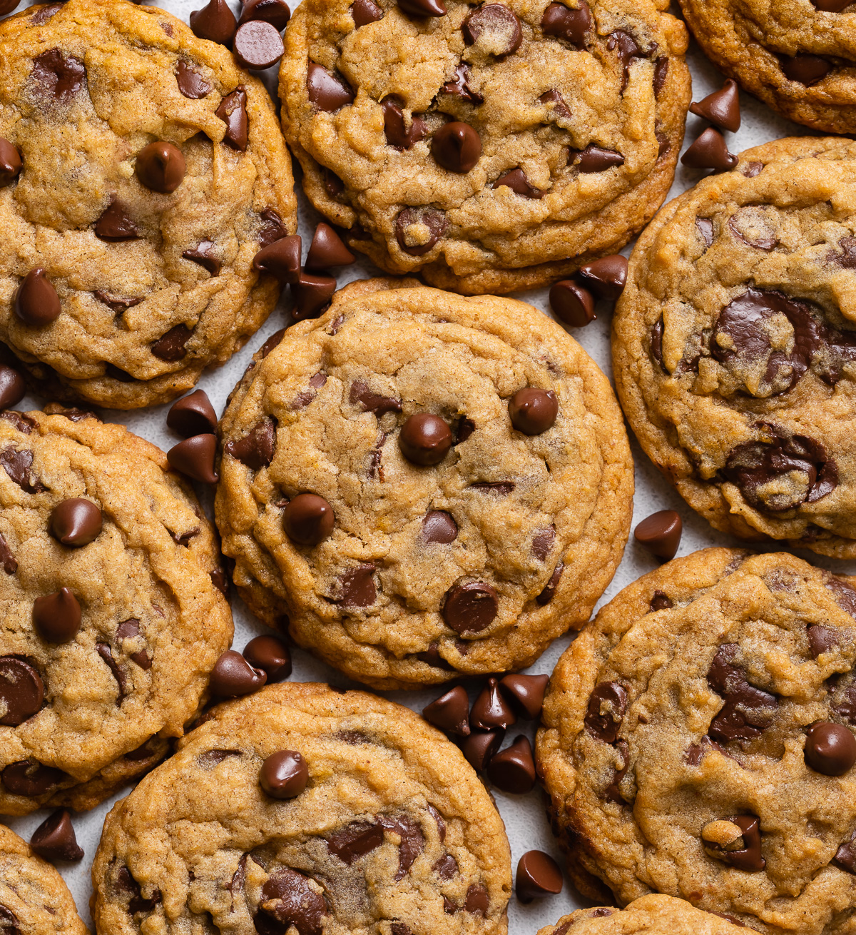 chewy pumpkin chocolate chip cookie recipe