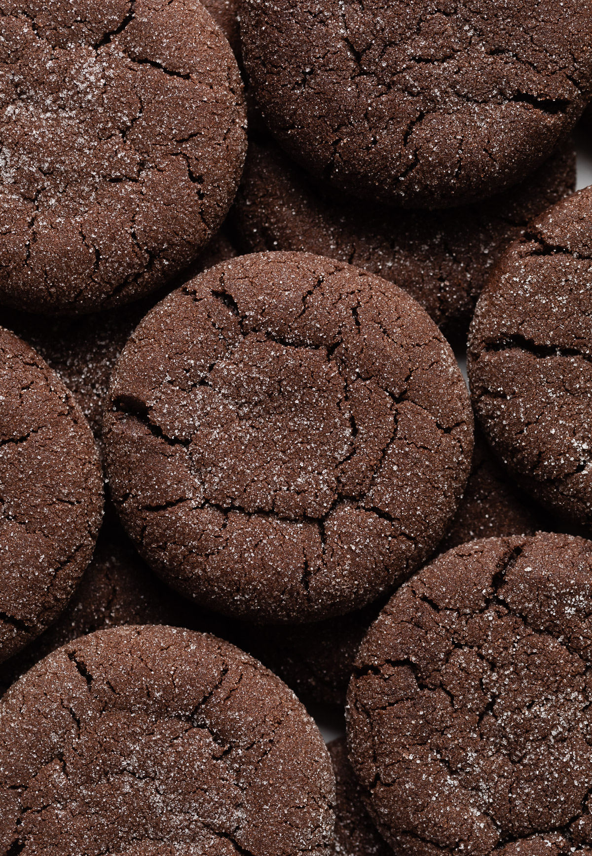 chocolate sugar cookies recipe